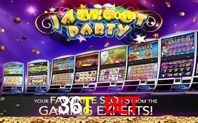 36T Bet - User Statistics